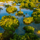 The mangroves from above.